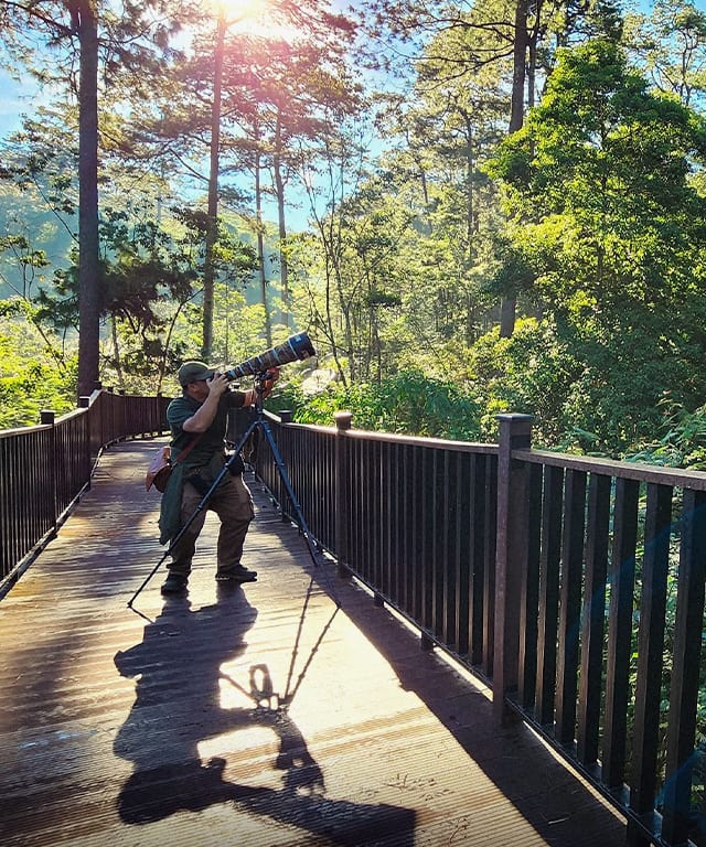 A scenic spot for birdwatching among the trees